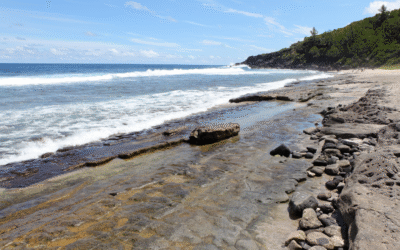 Les Meilleures Plages à Visiter à La Réunion avec Nothil