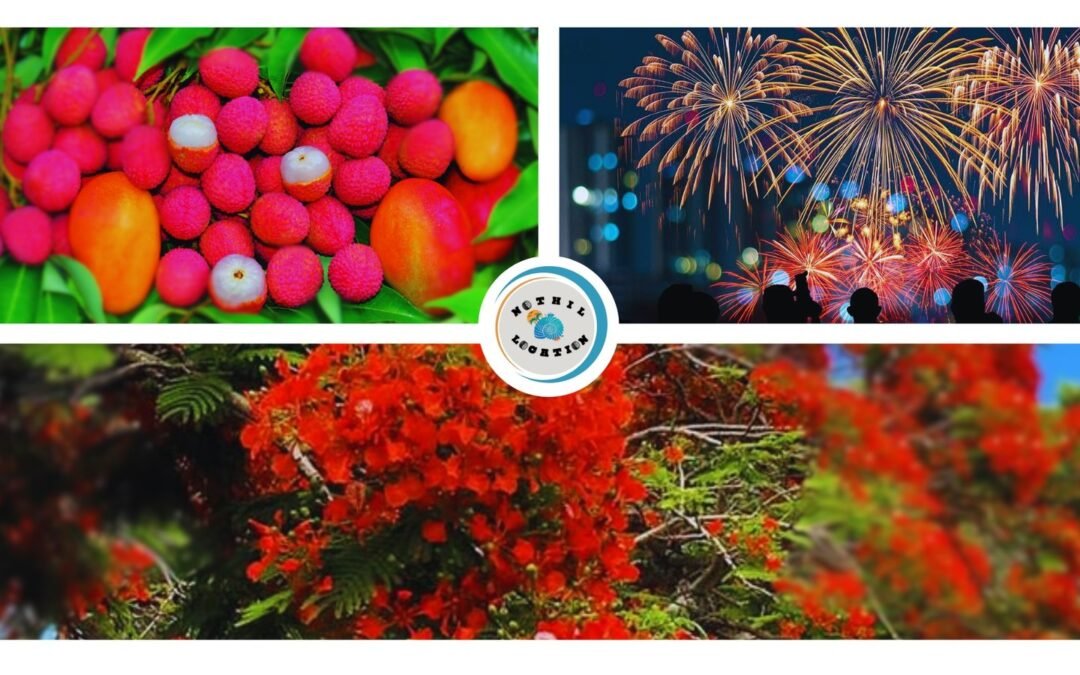 Les Fêtes de Fin d’Année à La Réunion : Tradition et Soleil