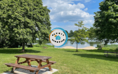 🌿 Les 5 meilleurs spots pour pique-niquer à La Réunion